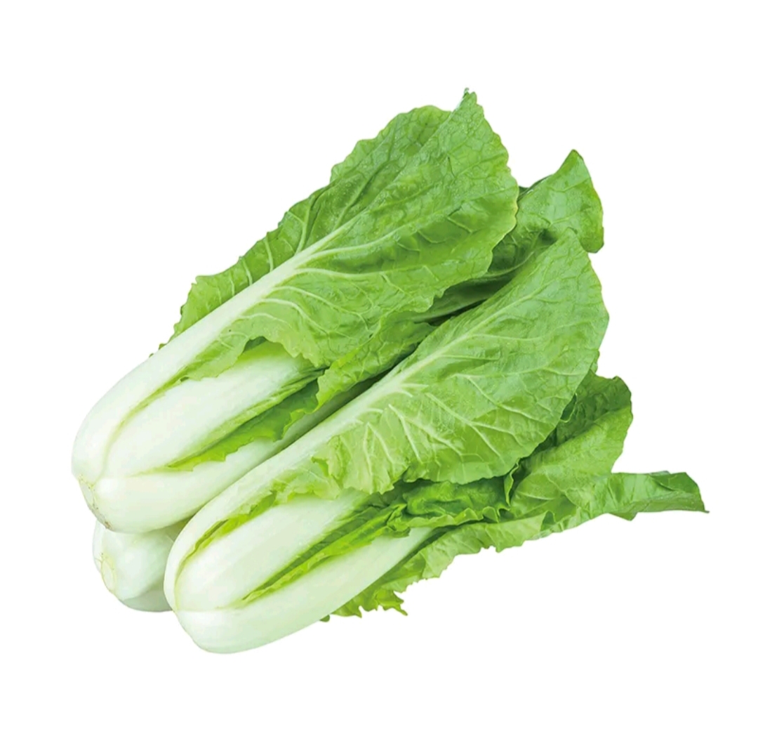 毛白菜（约0.6斤/份）